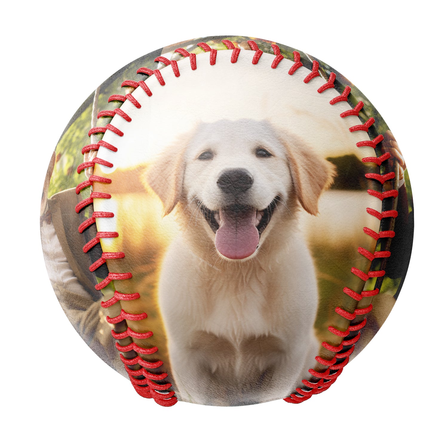 Personalized Pet Dog and Owner Photo Baseballs